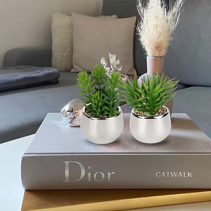 Artificial Silver Pot Plant - Emirex